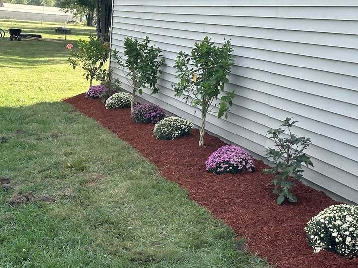 Boss Pros Lawn Care project
