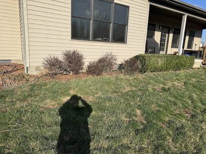 Boss Pros Lawn Care project