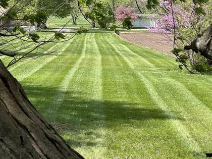 Boss Pros Lawn Care project